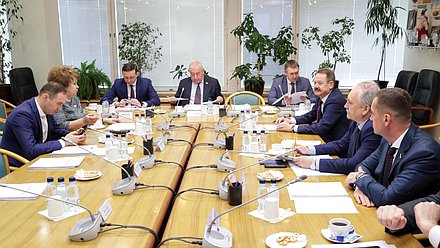 Заседание Комитета по развитию Дальнего Востока и Арктики