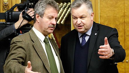 Встреча Председателя Государственной Думы Сергея Нарышкина с Директором Бюро по демократическим институтам и правам человека Организации по безопасности и сотрудничеству в Европе Михаэлем Линком. 