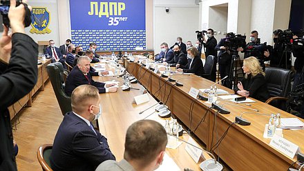 Встреча членов фракции ЛДПР с заместителем Председателя Правительства РФ Татьяной Голиковой