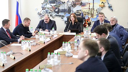 Заседание Экспертного совета по устойчивому развитию моногородов Комитета по экономической политике, промышленности, инновационному развитию и предпринимательству