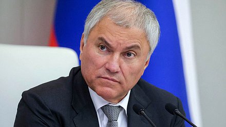 Председатель Государственной Думы Вячеслав Володин