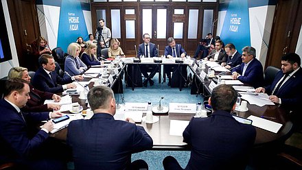 Встреча заместителя Председателя Правительства РФ Виктории Абрамченко с членами фракции «Новые люди»