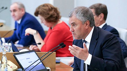 Председатель Государственной Думы Вячеслав Володин