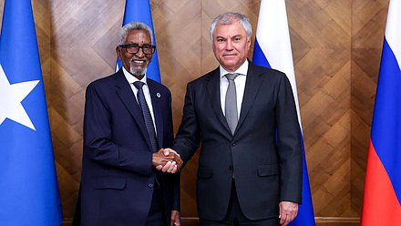 Председатель Государственной Думы Вячеслав Володин и Председатель Сената федерального Парламента Сомали Абди Хаши Абдуллахи