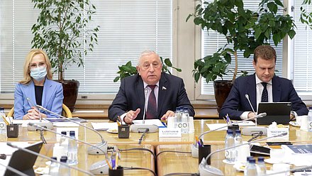 Заместитель Председателя Государственной Думы Ирина Яровая, Председатель Комитета по развитию Дальнего Востока и Арктики Николай Харитонов и Министр по развитию Дальнего Востока и Арктики Алексей Чекунков