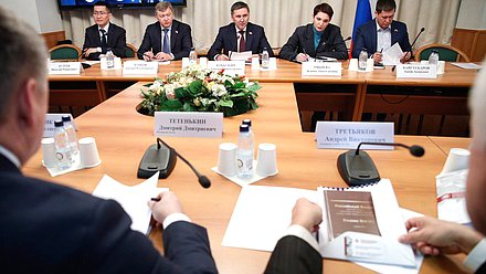 Круглый стол Комитета по экологии, природным ресурсам и охране окружающей среды на тему «О формировании в РФ системы аудита запасов полезных ископаемых»