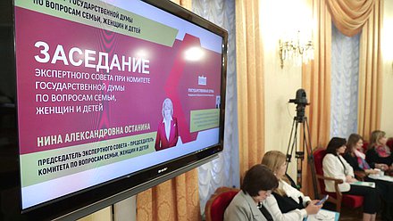 Заседание экспертного совета Комитета по вопросам семьи, женщин и детей