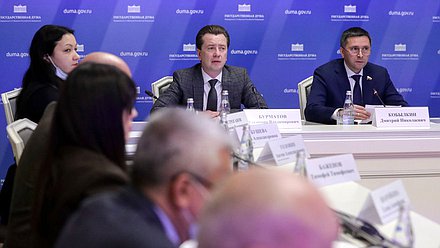 Первый заместитель Председателя Комитета по экологии, природным ресурсам и охране окружающей среды Владимир Бурматов и Председатель Комитета Дмитрий Кобылкин