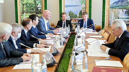 Заседание Комитета по экологии и охране окружающей среды с участием Министра экономического развития РФ Максима Решетникова