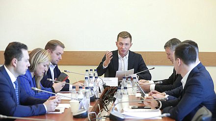 Совещание Комитета по молодежной политике с комитетами законодательных (представительных) органов государственной власти субъектов РФ по вопросам молодежной политики