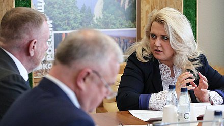 Член Комитета по туризму и развитию туристической инфраструктуры Алла Салаева