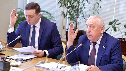 Первый заместитель Председателя Комитета по развитию Дальнего Востока и Арктики Вячеслав Логинов и Председатель Комитета Николай Харитонов
