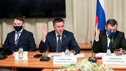 Председатель Комитета по экологии, природным ресурсам и охране окружающей среды Дмитрий Кобылкин и Председатель Комитета по информационной политике, информационным технологиям и связи Александр Хинштейн
