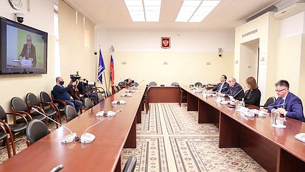 Заседание Экспертного совета по устойчивому развитию моногородов Комитета по экономической политике, промышленности, инновационному развитию и предпринимательству