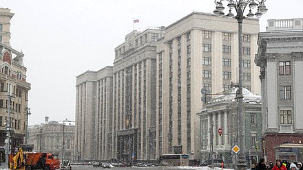 Дума здание