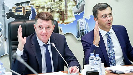 Председатель Комитета по экономической политике, промышленности, инновационному развитию и предпринимательству Сергей Жигарев и Первый заместитель Председателя Комитета Владимир Гутенев