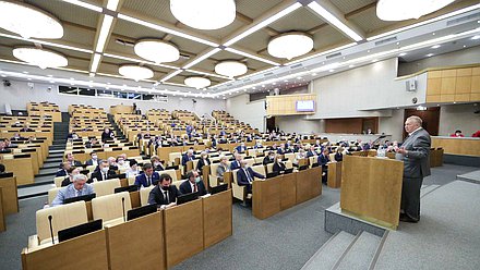 Руководитель фракции ЛДПР Владимир Жириновский