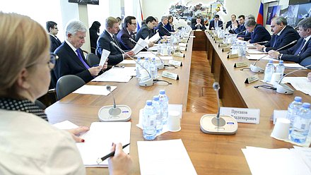 Заседание Комитета по экономической политике, промышленности, инновационному развитию и предпринимательству