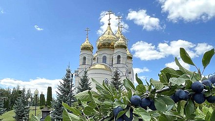 Алексеевка