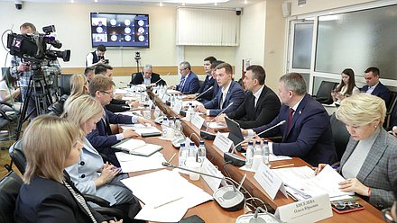 Круглый стол Комитета по молодежной политике на тему «Федеральная программа поддержки молодежи («молодежная карта»)»