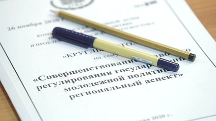 Круглый стол на тему «Совершенствование правового регулирования государственной молодежной политики: региональный аспект»