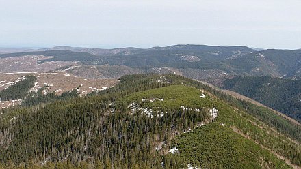 природа дальний восток горы лес