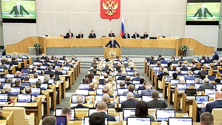 Пленарное заседание Крашенинников