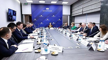 Заседание Комитета по защите семьи, вопросам отцовства, материнства и детства