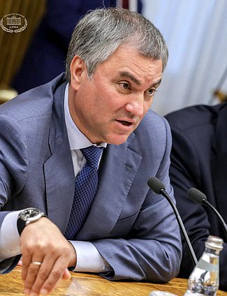 Председатель Государственной Думы Вячеслав Володин во время встречи. Автор фото: Анна Исакова/Фотослужба Государственной Думы.

