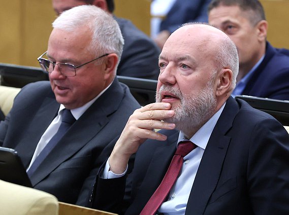 Председатель Комитета по государственному строительству и законодательству Павел Крашенинников