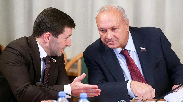 Члены Комитета по энергетике Борис Гладких и Петр Пимашков