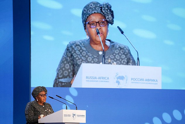 Speaker of the National Assembly of the Parliament of the Republic of South Africa Nosiviwe Mapisa-Nqakula