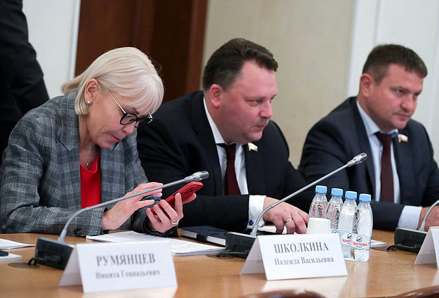 Первый заместитель Председателя Комитета по экономической политике Надежда Школкина