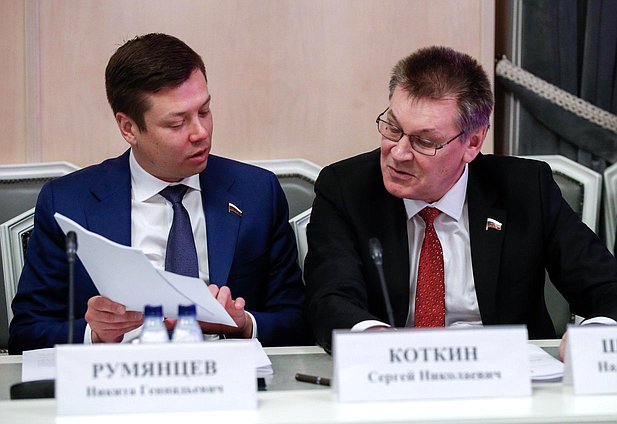 Член Комитета по контролю Никита Румянцев и член Комитета по международным делам Сергей Коткин