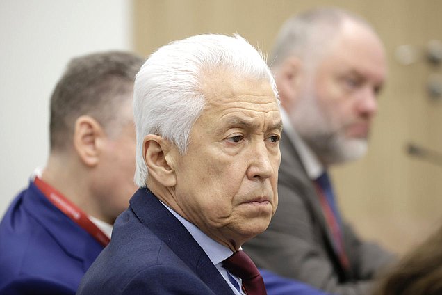 Руководитель фракции "Единая Россия" Владимир Васильев