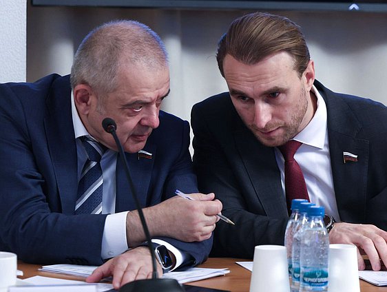 Заместители Председателя Комитета по развитию Дальнего Востока и Арктики Андрей Грачев и Богдан Булычев