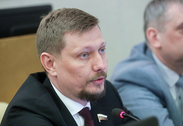 Член Комитета по промышленности и торговле Владимир Плякин