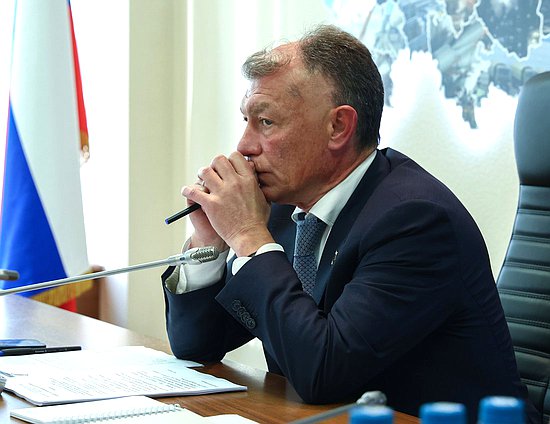 Председатель Комитета по экономической политике Максим Топилин