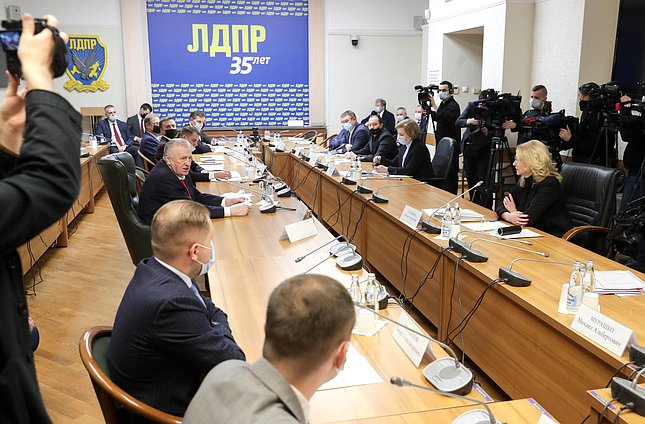 Встреча членов фракции ЛДПР с заместителем Председателя Правительства РФ Татьяной Голиковой