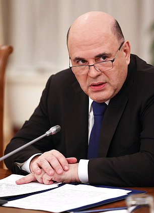 Председатель Правительства РФ Михаил Мишустин