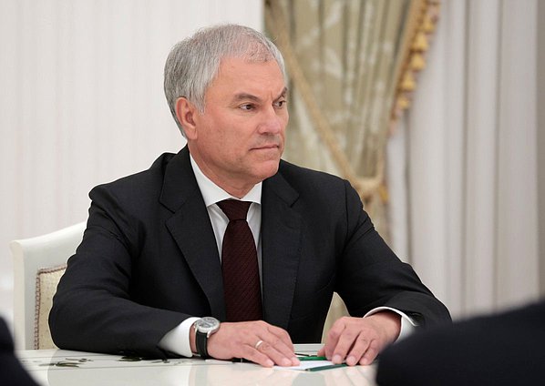 Председатель Государственной Думы VIII созыва Вячеслав Володин