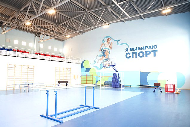 школа спорт физкультура спортзал образование