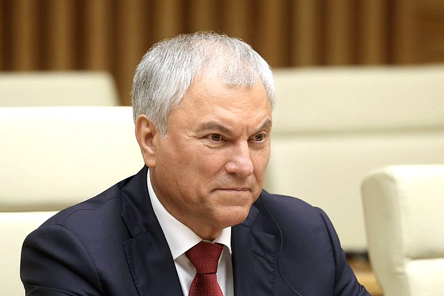 Председатель Государственной Думы Вячеслав Володин