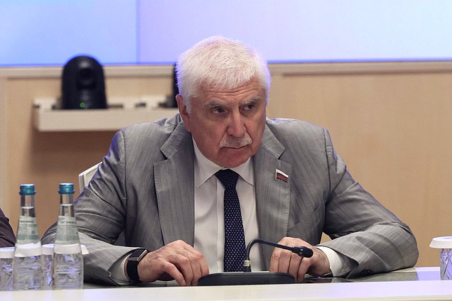 Первый заместитель Председателя Комитета по международным делам Алексей Чепа