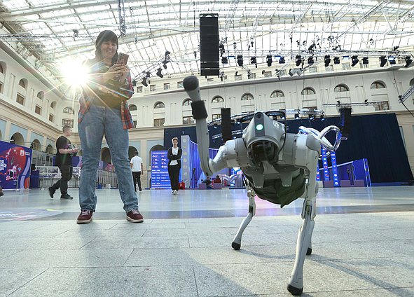 робот собака