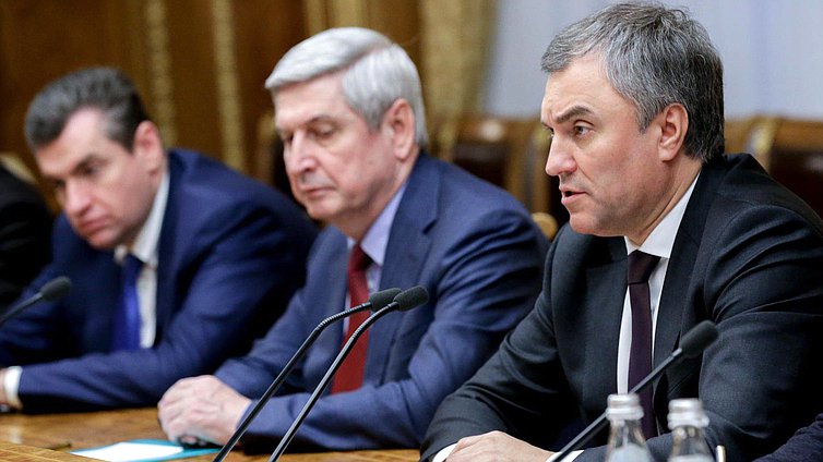 Председатель Государственной Думы Вячеслав Володин во время встречи с Генеральным секретарем Совета Европы Турбьёрном Ягландом.