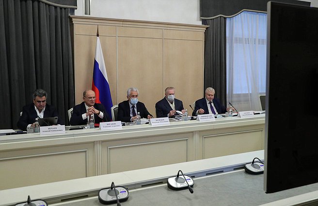 Руководители фракций Государственной Думы приняли участие в заседании Госсовета в режиме ВКС