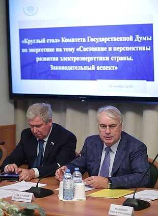 Первый заместитель Председателя Комитета по энергетике Сергей Есяков и Председатель Комитета Павел Завальный