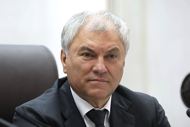 Председатель Государственной Думы Вячеслав Володин