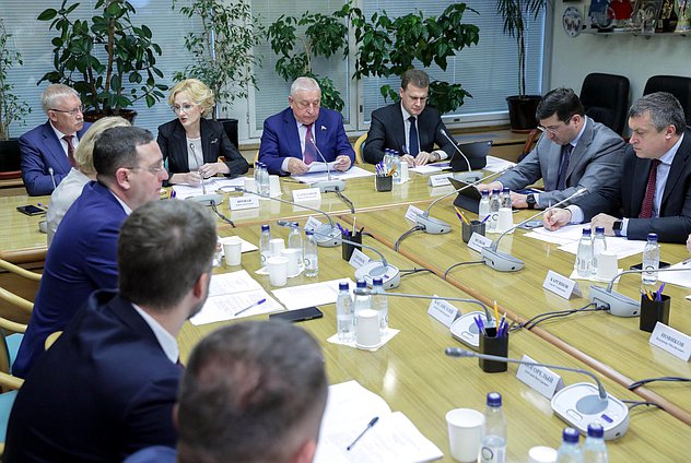 Совместное заседание Комитетов по контролю и по развитию Дальнего Востока и Арктики с участием Министра по развитию Дальнего Востока и Арктики Алексея Чекункова